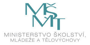 msmt-1